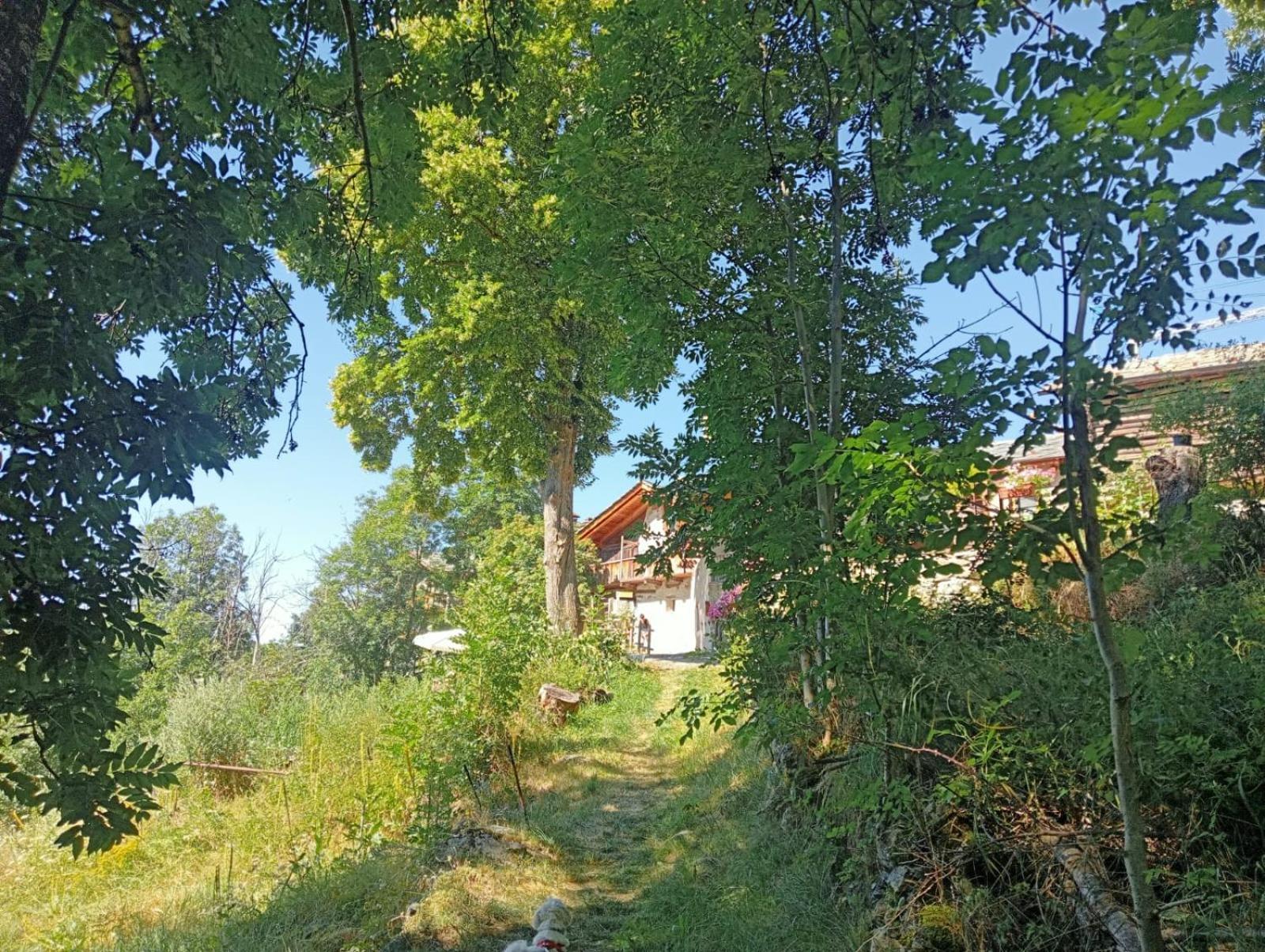 Home Sweet Home Antey-Saint-André المظهر الخارجي الصورة